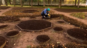 Осенние работы в Павловском саду