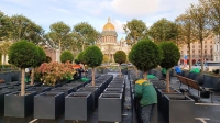 В Петербурге объявили новый конкурс на сад у Мариинского дворца