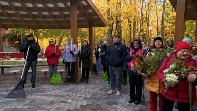 День благоустройства: как прошёл общегородской субботник в Петербурге
