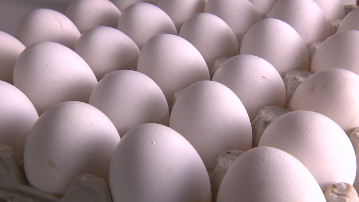 Кардиологи рассказали, сколько куриных яиц можно есть в неделю - tvspb.ru