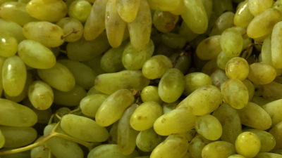 Химикаты и высокая калорийность: диетолог назвала мифы и факты о винограде