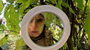 Тайны южно-приморского парка. Разгадываем краеведческие задачки на детективном квесте под открытым небом