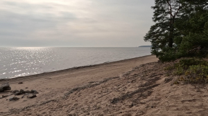 Тихий берег Владимира Бехтерева: как праправнучка знаменитого учёного возрождает усадьбу и создаёт семейный музей