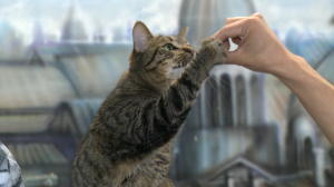 Пушистые манипуляторы. Как коты оказывают психологическое воздействие на людей