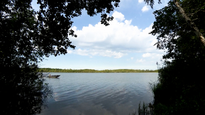 Петербург отмечает День работников заповедного дела