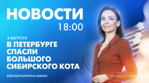 Новости Петербурга к 18:00