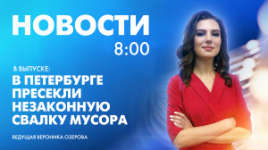 Новости Петербурга к 8:00