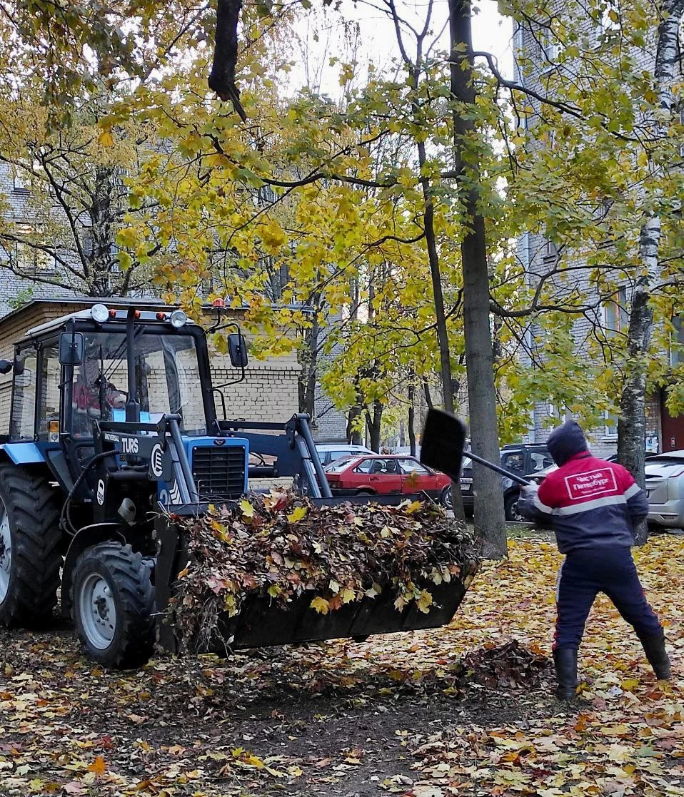 Более 200 тысяч петербуржцев вышли убирать город в День благоустройства - tvspb.ru