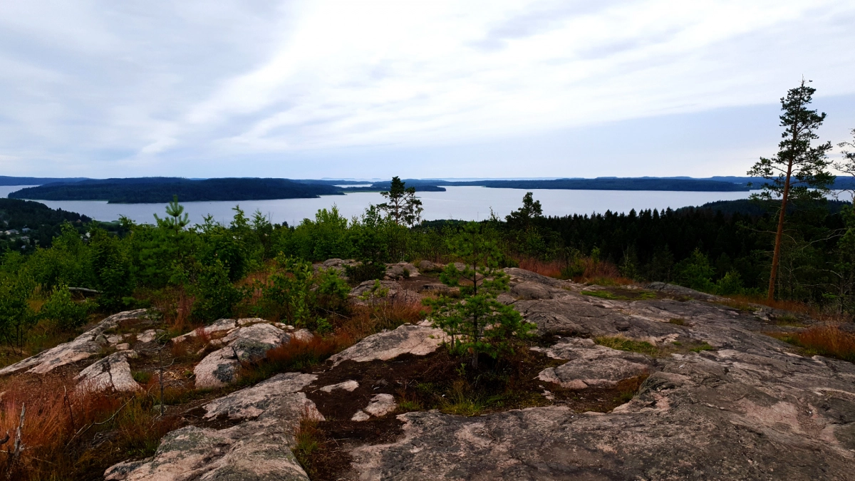 В Карелии нашли обломки американского истребителя Curtiss P-36 Hawk - tvspb.ru