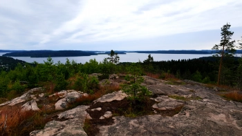 В Карелии нашли обломки американского истребителя Curtiss P-36 Hawk