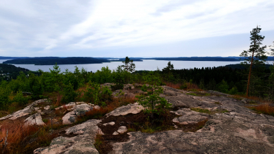 В Карелии нашли обломки американского истребителя Curtiss P-36 Hawk