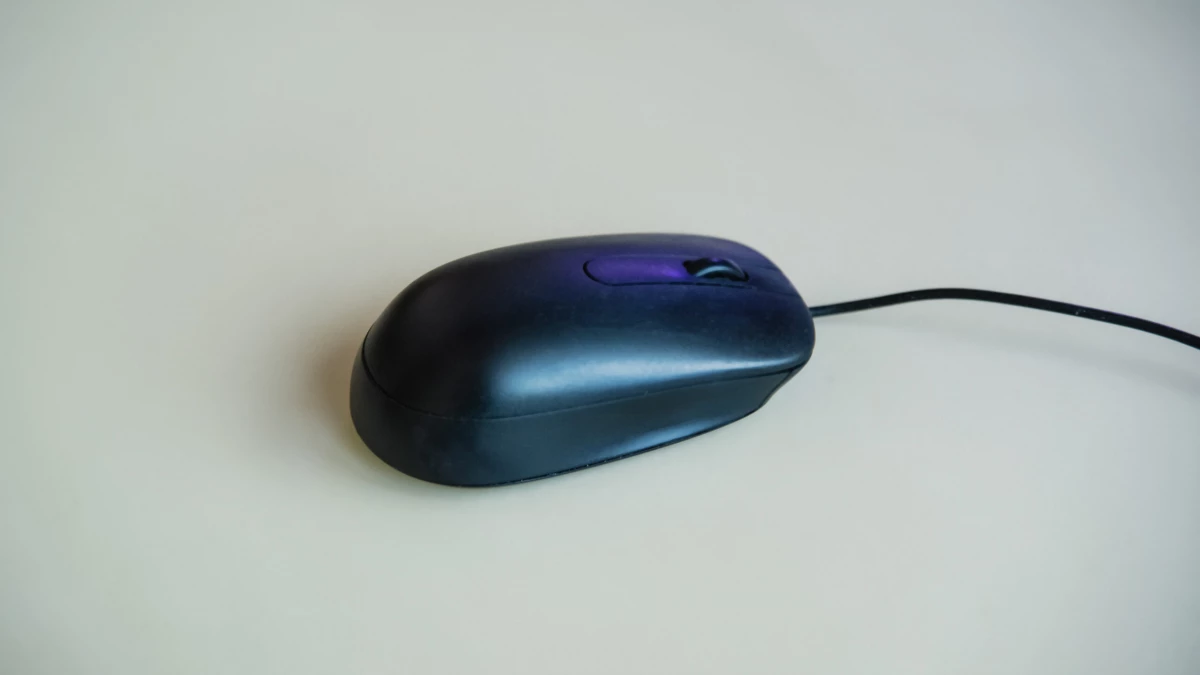 59% петербуржцев уверены в своем карьерном успехе в 2024 году - tvspb.ru