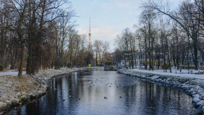 В ноябре солнце появлялось в Петербурге всего пять раз