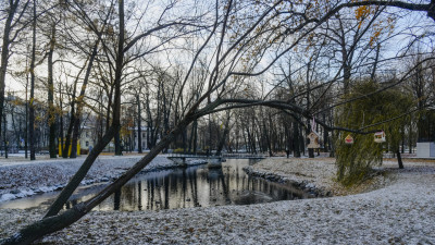 В ближайшие дни в Петербурге выпадет первый снег