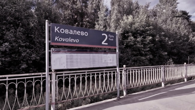 В лесу у поселка Ковалево нашли мертвого человека