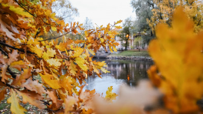 Петербуржцам следует готовить зонтики и теплее одеваться