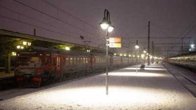 Грузовой поезд в Ленобласти насмерть сбил женщину