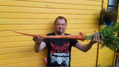 Петербуржец вырастил самую длинную морковку в России