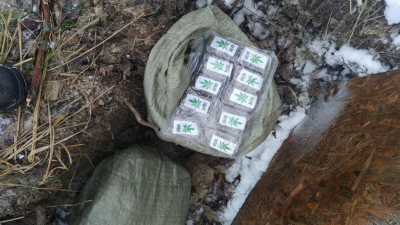 Электрик нашел в лесу под Гатчиной подозрительный пакет: там оказались запрещенные вещества на 41 кг