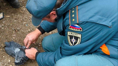 Голубя спасли из запутанного положения сотрудники МЧС России