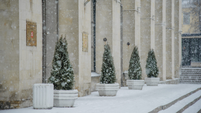 В Петербурге будет облачно и выпадет снег