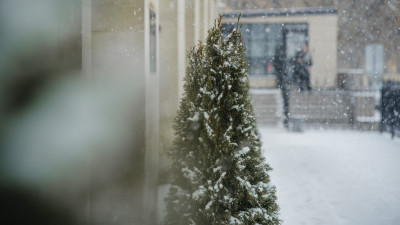 Исторические хроники: что произошло в мире, России и Петербурге 2 декабря