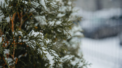 В Ленобласти 29 ноября ожидается снегопад