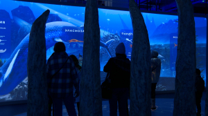 240 миллионов лет за один час. Вся эволюция морской фауны на мультимедийной выставке «Океан Юрского периода»