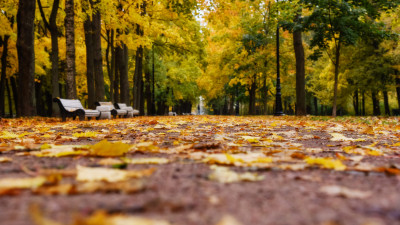 Исторические хроники: что произошло в мире, России и Петербурге 11 ноября