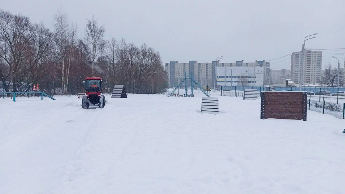 Сотрудники петербургского Центра спорта расчистили площадку для выгула собак - tvspb.ru