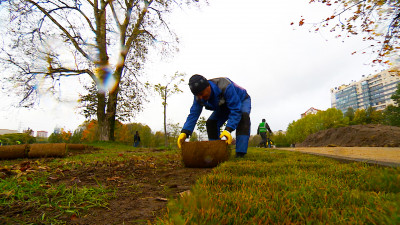 В Петербурге увеличат количество зеленых зон