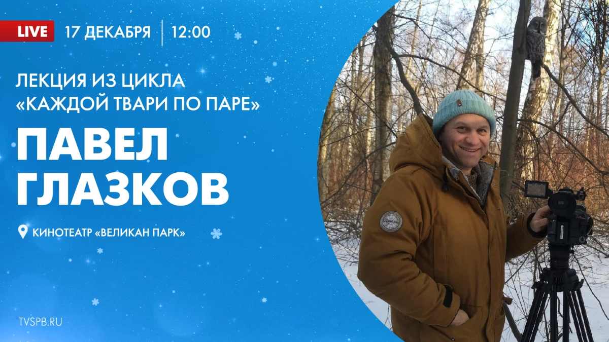 Лекция из цикла «Каждой твари по паре» Павла Глазкова в кинотеатре «Великан Парк» состоится 17 декабря - tvspb.ru