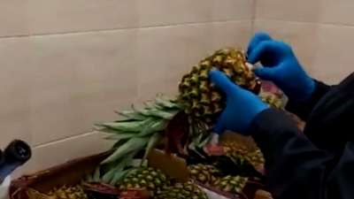 12 тысяч тонн ввезенных в Петербург ананасов проверили специалисты Россельхознадзора