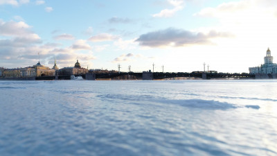 Петербуржцев предупредили о сильном ветре 17 декабря