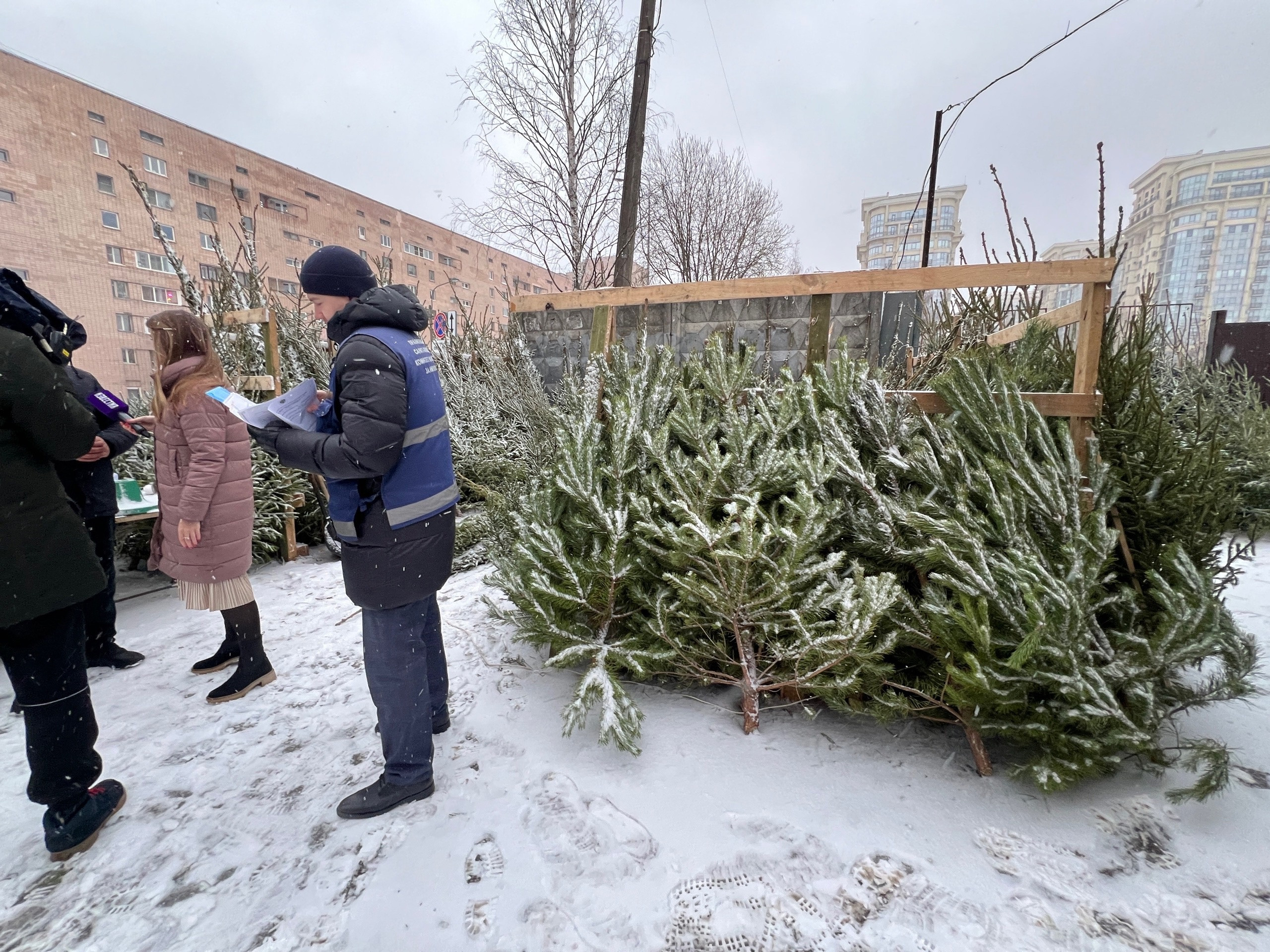 От незаконных елочных базаров освобождено более 100 квадратных метров  городской земли