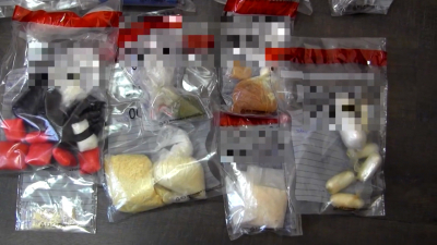 Транспортные полицейские задержали закладчика в Ленобласти и нашли 4,5 кг наркотиков