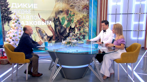 «Дикие выходные с Павлом Глазковым». Итоги года