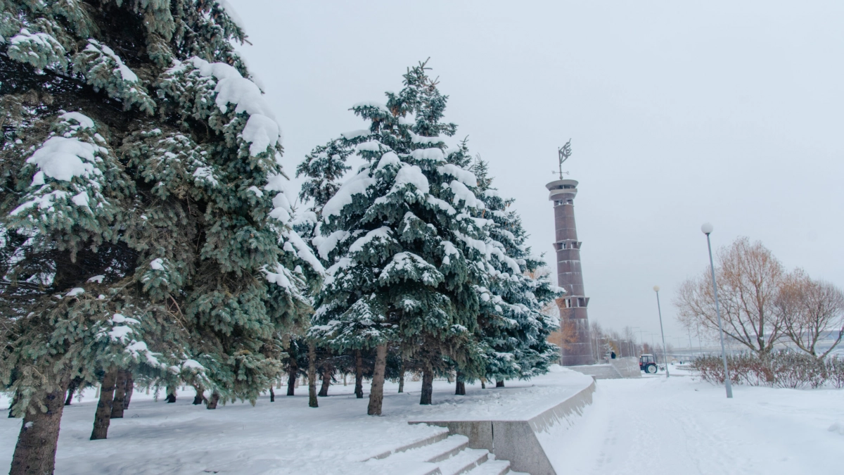 Исторические хроники: что произошло в мире, России и Петербурге 8 января - tvspb.ru