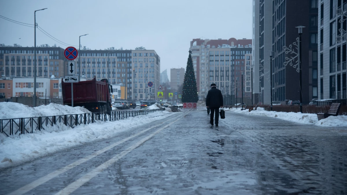 МЧС: В Петербурге 21 декабря ожидаются снег, гололед и порывистый ветер - tvspb.ru