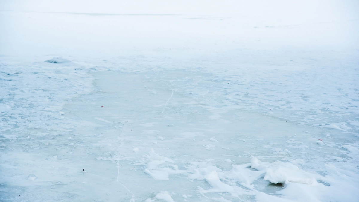 Ладожское озеро после сильных морозов покрылось льдом на 85% - tvspb.ru
