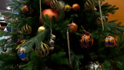 Владимир Путин принял участие в акции «Ёлка желаний»