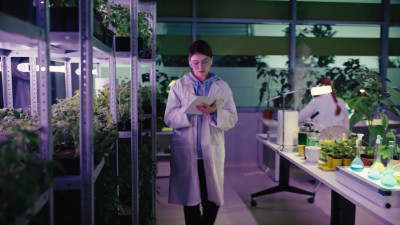 Профессионалитет: программа позволит петербуржцам стать высококвалифицированными специалистами