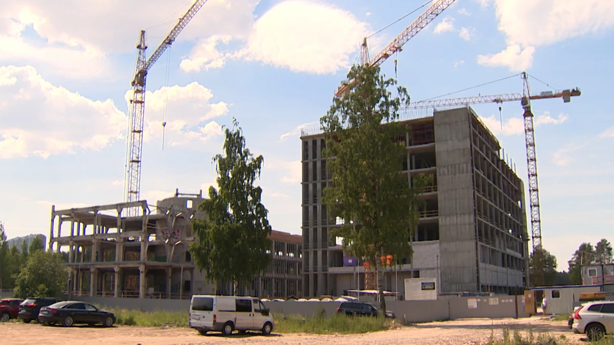 Новое здание Кунсткамеры откроют в 2024 году - tvspb.ru
