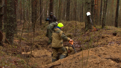 В Петербурге вручат знак отличия «За вклад в дело увековечения памяти погибших при защите Отечества»