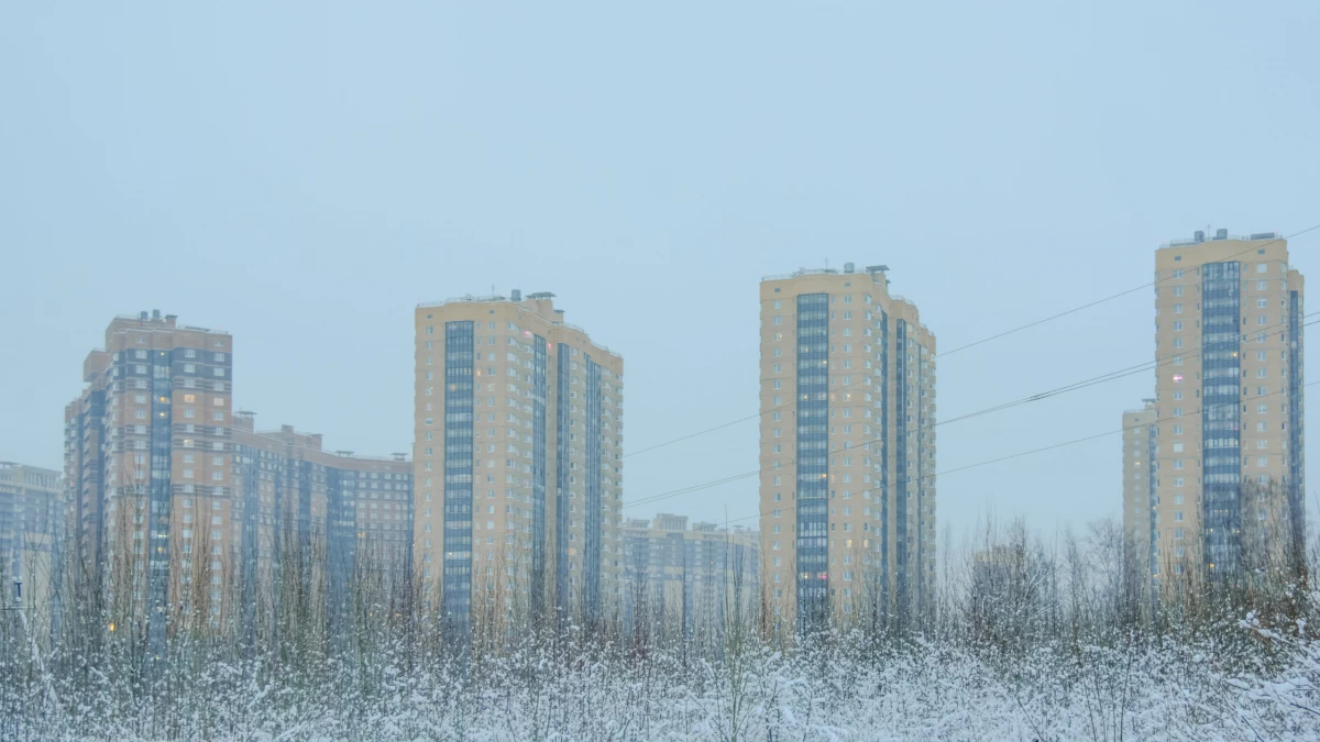 На диване в апарт-отеле на Парнасе нашли два тела жителей Ленобласти этой ночью - tvspb.ru