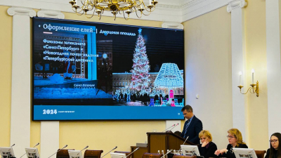 Владимир Рябовол представил концепцию централизованного украшения Петербурга к Новому году и Рождеству