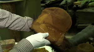 Экспорт XVIII  века: артефакты с затонувшего судна «Архангел Рафаил» переданы Музею истории Кронштадта