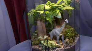 Рождество в Ботаническом саду