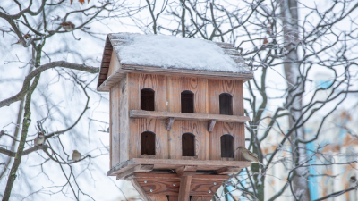 В Царском Селе открыли зимний «ресторан» для птиц с несколькими входами и парадным крыльцом