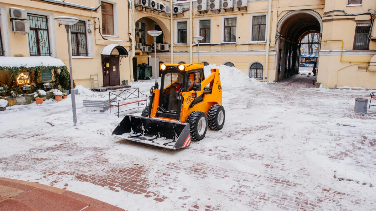 Стало известно, сколько будут платить петербургским студентам за уборку снега - tvspb.ru